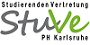 StuVe-Logo mini.png